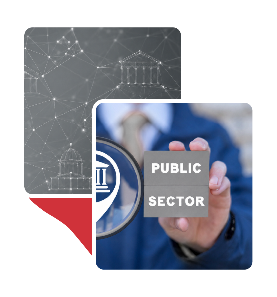 Government & Public Sector